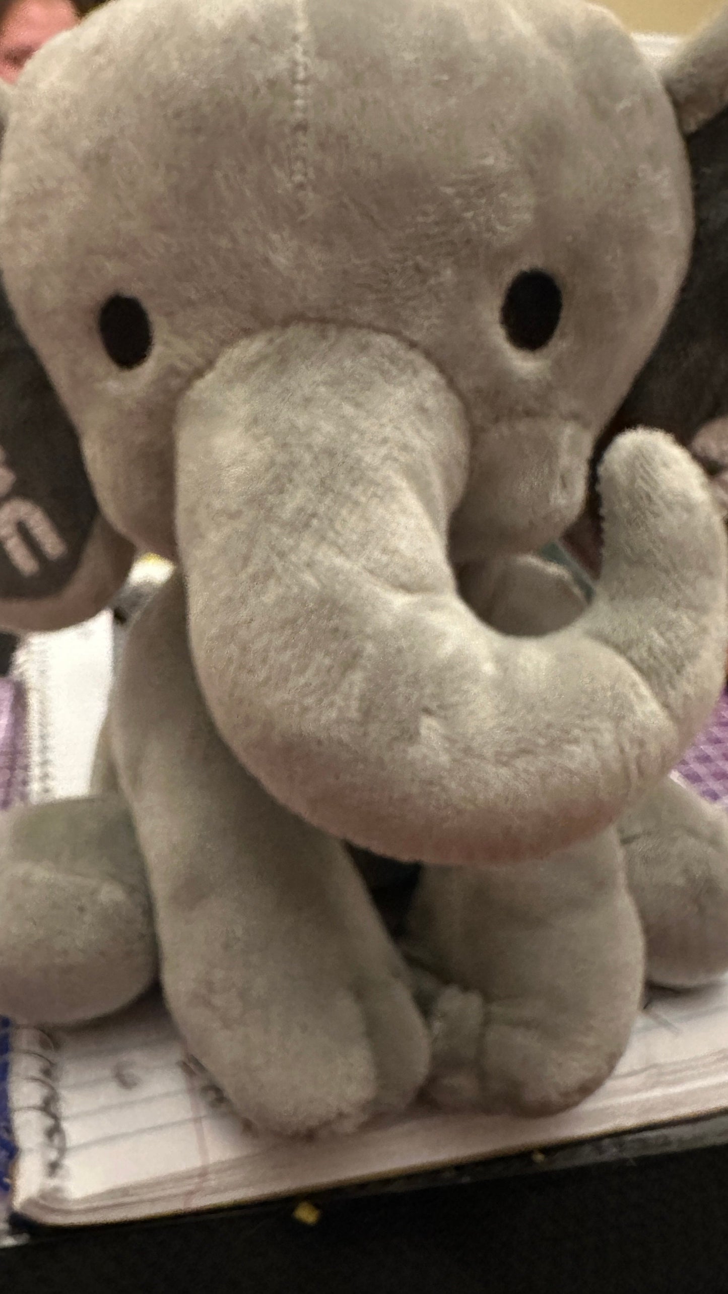 personalized elephant, stuffed animal gift, baby shower gift, newborn gift, new baby gift, birth announcement, baby gift, welcome home baby