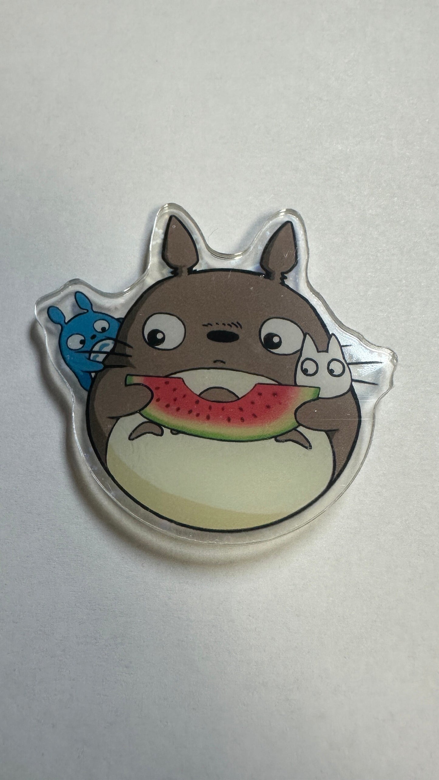 Totoro Cute Magnets Funny Magnets Dishwasher Magnet Cute Kitchen Decor Cool Fridge Magnets Fridge Magnet Set Mini Magnets